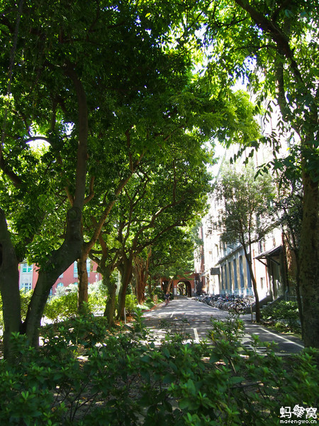 畢業(yè)之前去臺(tái)灣看看世界