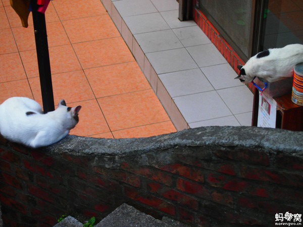 畢業(yè)之前去臺灣看看世界