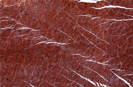 火眼識替身——天然紅珊瑚及其仿制品