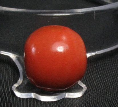 火眼識替身——天然紅珊瑚及其仿制品