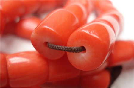 火眼識替身——天然紅珊瑚及其仿制品
