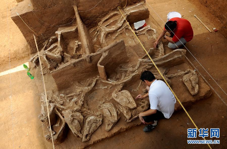 河南：南水北調(diào)沿線考古成果豐碩