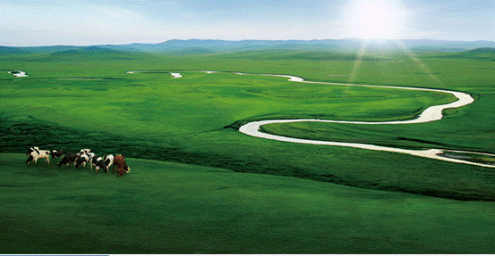 黑馬殺出？重磅消息：伊利即將進(jìn)軍能量飲料市場(chǎng)