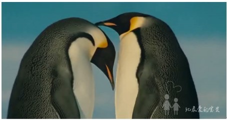 情侶空間造網上愛巢 “記錄愛”成最火戀愛道具