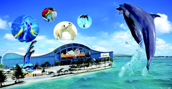 玩轉(zhuǎn)蛇年！盤點春節(jié)各大主題旅游線路（組圖）