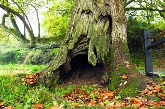 水印唐模：編織美夢的徽州古村(組圖)