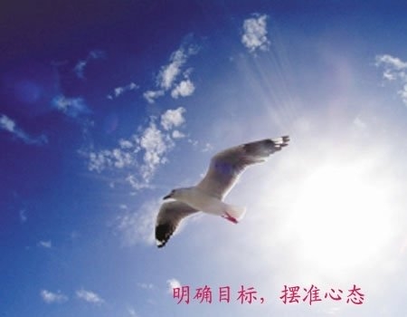 大學生另類創業盤點：刷馬桶刷出個千萬富翁