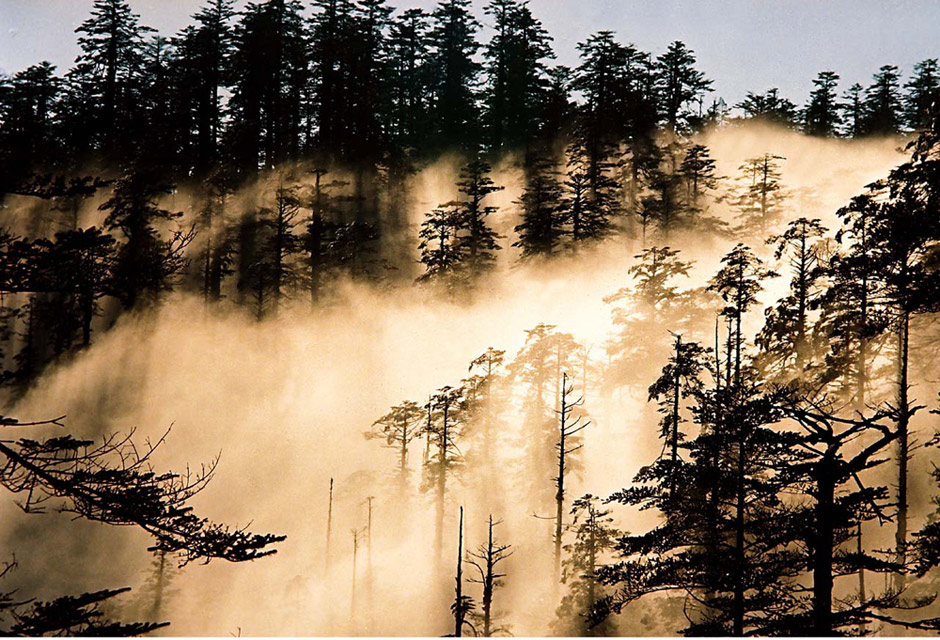 環(huán)游世界：拼假3天變7天 五一去異國踏青(圖)