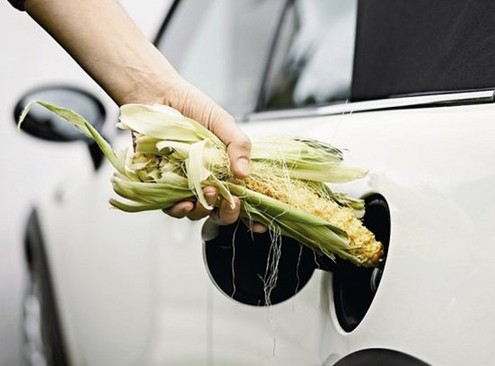 睿信致成觀察:我國生物燃料發展有待突破