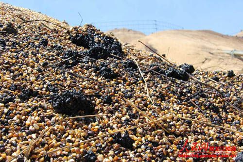 中儲(chǔ)糧黑龍江分公司回應(yīng)林甸直屬庫(kù)火災(zāi)三點(diǎn)疑問(wèn)