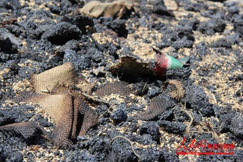 中儲(chǔ)糧黑龍江分公司回應(yīng)林甸直屬庫(kù)火災(zāi)三點(diǎn)疑問(wèn)