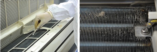 空調散熱片藏“毒”駭人 你真的會洗嗎？