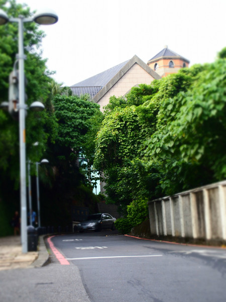 畢業(yè)之前去臺灣看看世界