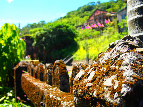 畢業(yè)之前去臺(tái)灣看看世界