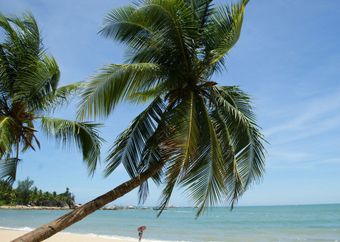 海南實(shí)施五大減排工程