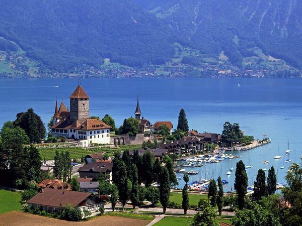 塞浦路斯移民熱：子女教育是首因