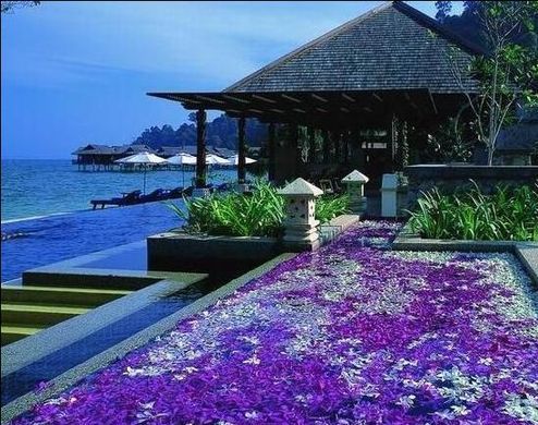 十大人氣免簽落地簽目的地 亞洲占八成