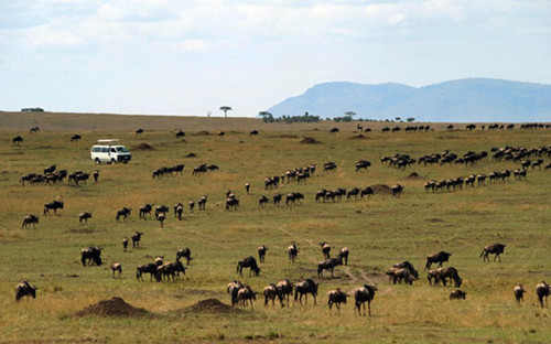8月去哪？唯節日與美食不可辜負