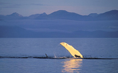 8月去哪?唯節(jié)日與美食不可辜負(fù)