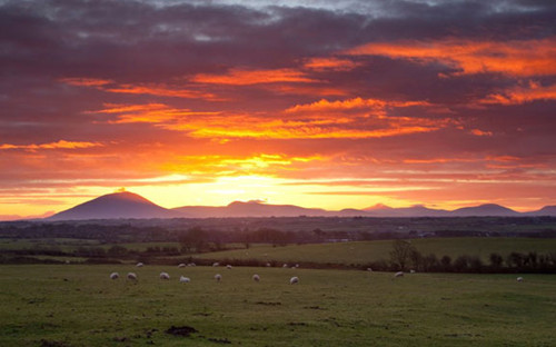 8月去哪?唯節日與美食不可辜負