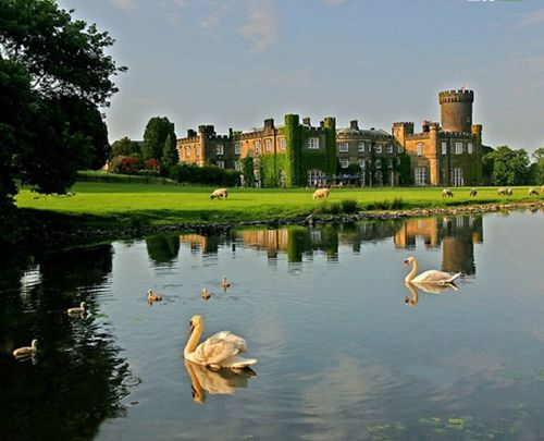 全球“最童話(huà)”古堡盤(pán)點(diǎn)