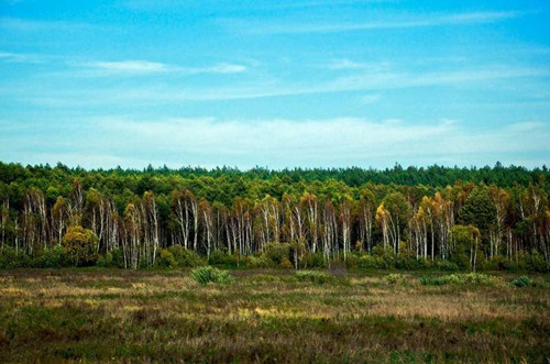 波蘭：飽受戰火的浪漫之都