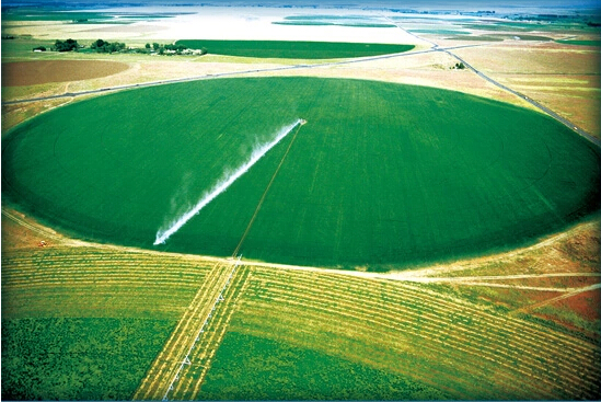 2014圣牧有機之旅•純凈啟程——見證「全程有機」純真奇跡