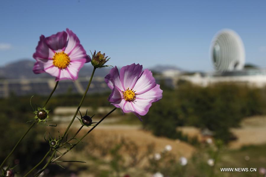2014北京APEC會議場館正式揭幕