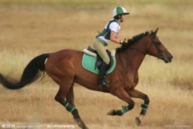 盤點(diǎn)那些最燒錢的土豪運(yùn)動(dòng) 你玩過幾個(gè)？