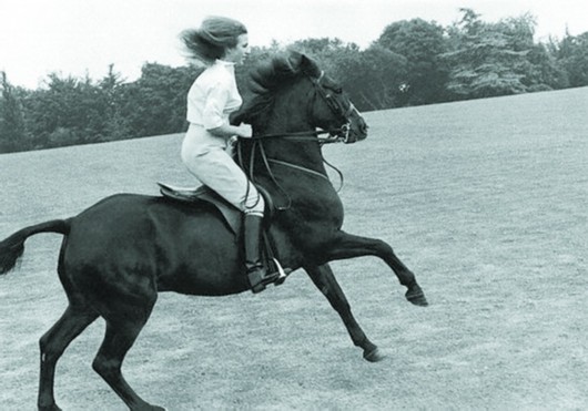 盤點那些最燒錢的土豪運動 你玩過幾個？