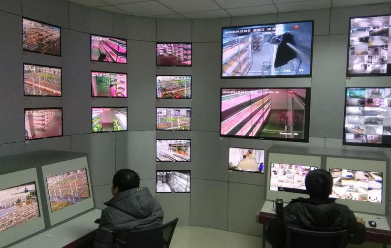 中國最大的植物工廠在北京建成投產