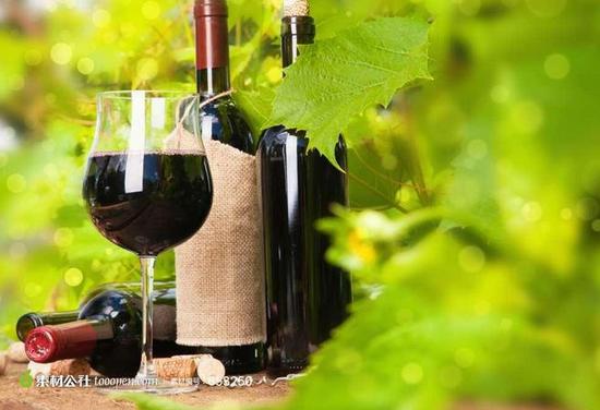 外媒:中國資金推動澳洲葡萄園大幅升值