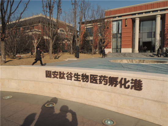 國際綠色經濟協會赴廊坊考察交流