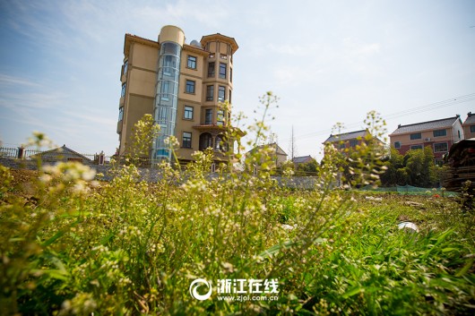 史上最壕農居房:游泳池+觀光電梯