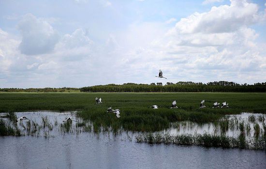 習(xí)近平的兩會時間: 東北振興怎么辦?