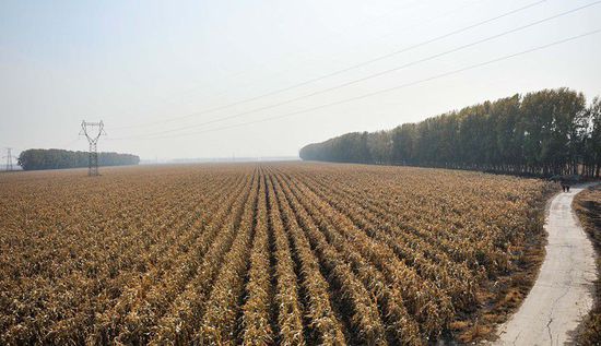 習(xí)近平的兩會時間: 東北振興怎么辦?