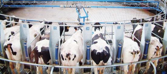 宋亮:歐洲牛奶配額終結?別心塞!