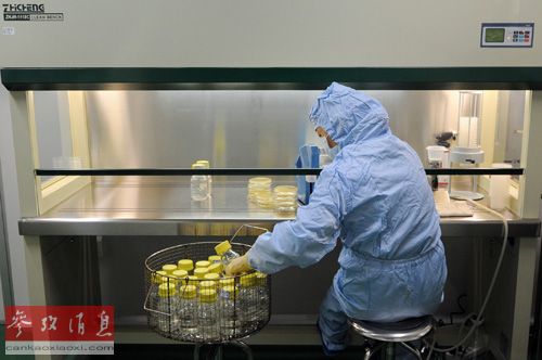 日媒：美歐日藥企猛攻中國(guó) 為質(zhì)檢提前3年生產(chǎn)