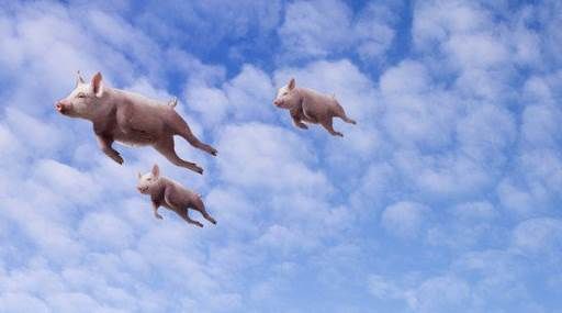 許小年:請別把自己當成“豬”