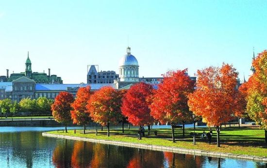 葉毓蔚:移民的中國人怎么又回來了?