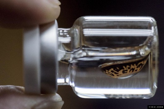 廣州25萬瓶假美瞳銷海外 成本2元貼牌后賣99