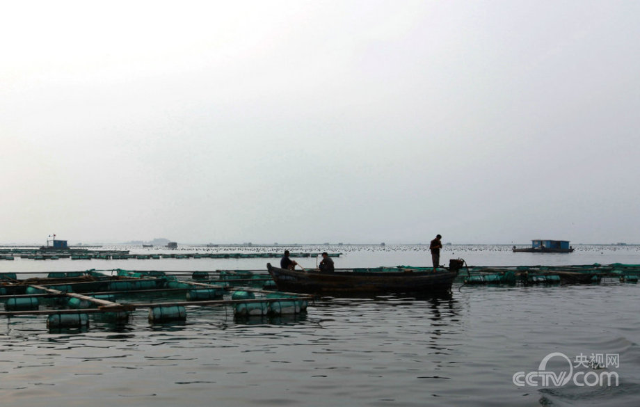 “海上糧倉”建設的“藍色之路”
