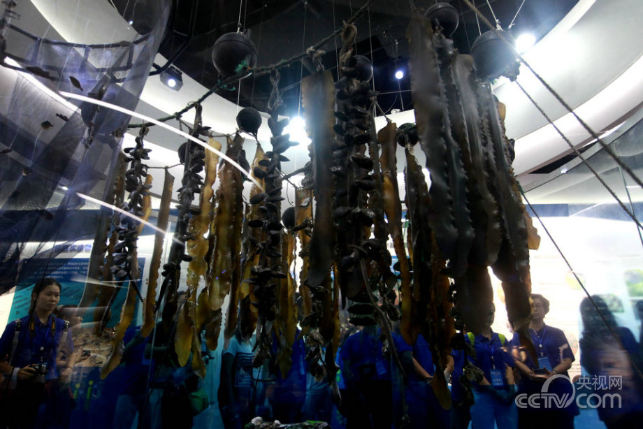 “海上糧倉(cāng)”建設(shè)的“藍(lán)色之路”