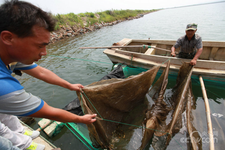 “海上糧倉”建設(shè)的“藍(lán)色之路”