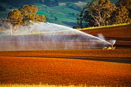 報告顯示：中國成為澳大利亞“農業領域”最大投資國