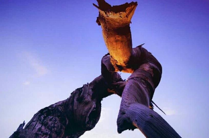 指數(shù)熔斷機制的前世今生:美國上世紀(jì)80年代誕生