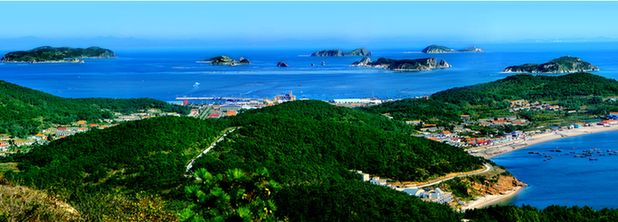 夏季達沃斯聚焦大連莊河