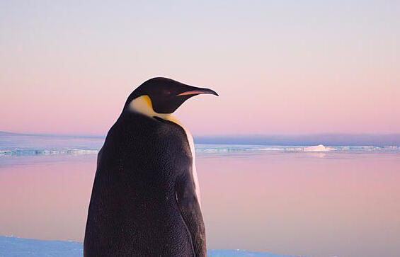 中國動畫電影工業(yè)的春天來了嗎？“是冬天快過去了”