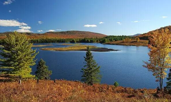 王健林、馬云等亞洲富豪2015年的購物車?yán)锒加惺裁矗? title=