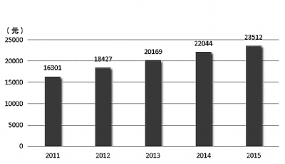 2015民生改革十大熱詞